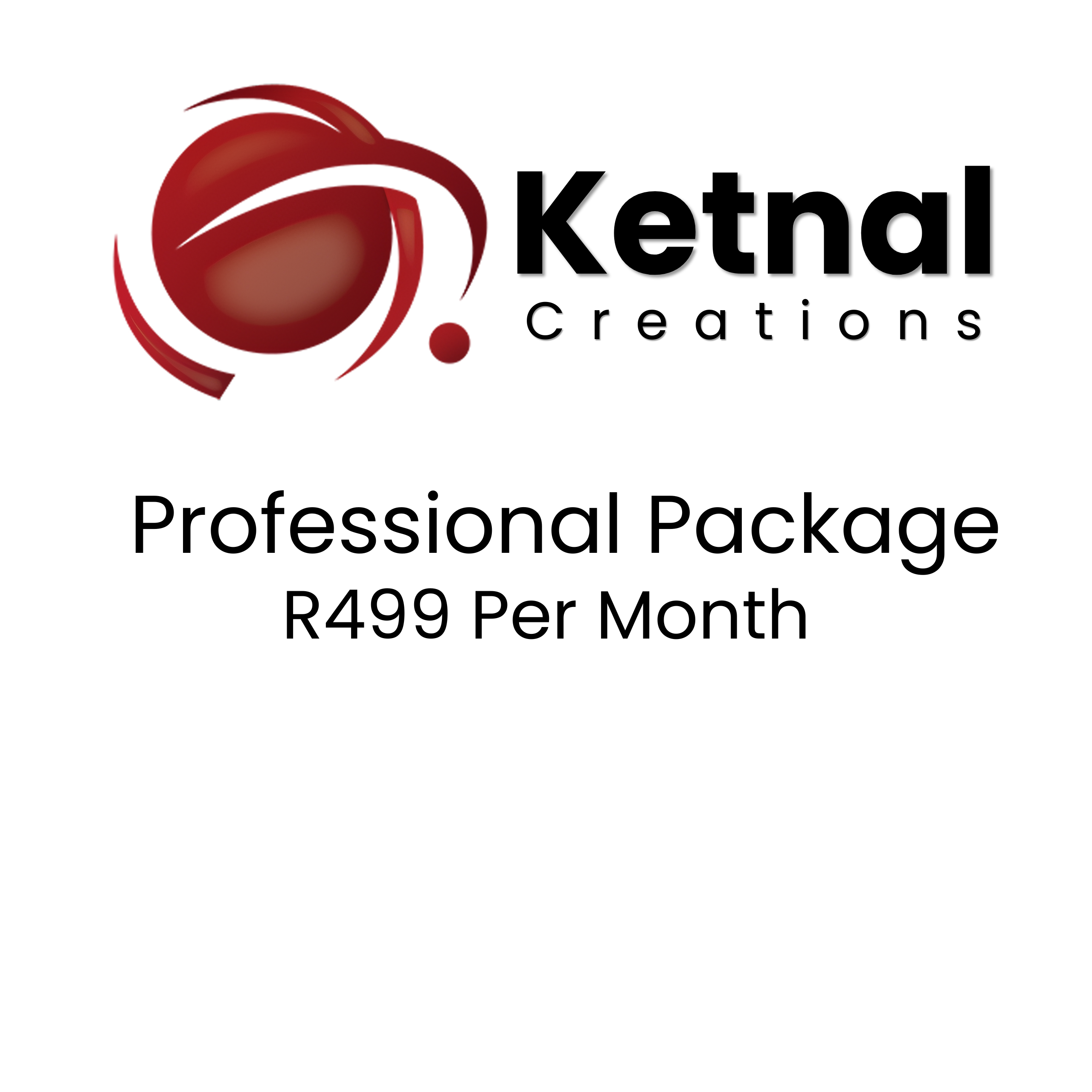 Professional Package R499 Every Month